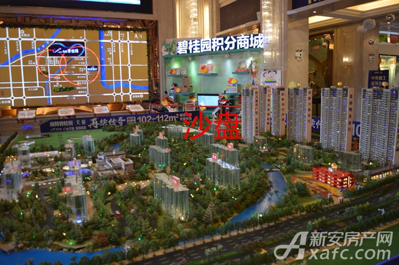 南陵碧桂園最新動態(tài)，現(xiàn)代居住新篇章揭曉