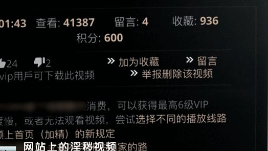 網(wǎng)友最新視頻，多元文化與時(shí)代風(fēng)貌的展示窗口